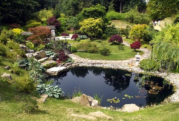 A medium-sized pond with waterfall.