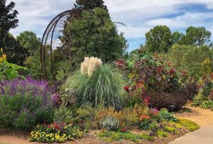 A multicolored and lush floral and shrub display