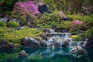 A stream and soft waterfall in a rock garden