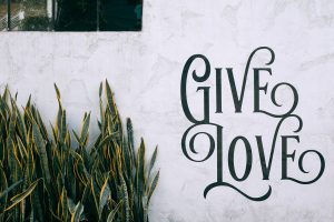 Tropical Dracaena trifasciata plant growing near wall with Give Love text