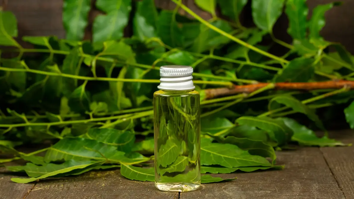A small glass container with Neem oil