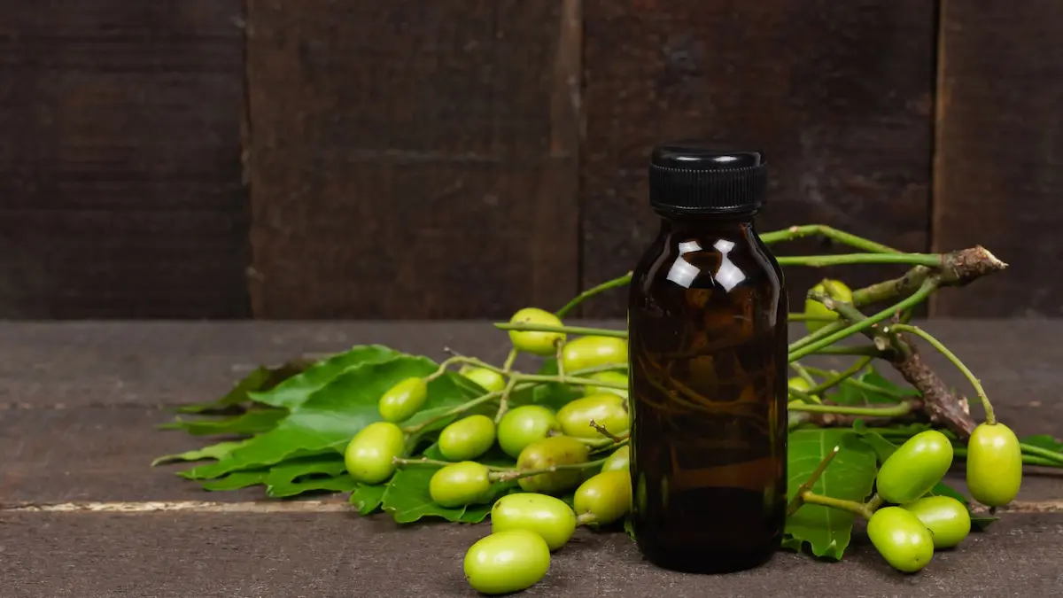 How To Use Neem Oil on Plants