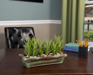 A long container containing four aloe plants decorating a desk