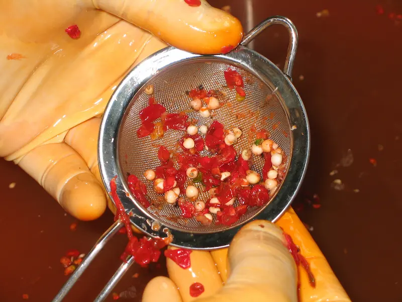 Arisaema triphyllum seeds with pulp strainer