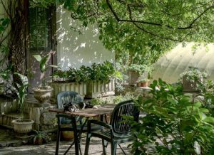 Heavily shaded back yard scene with many trees and rustic table