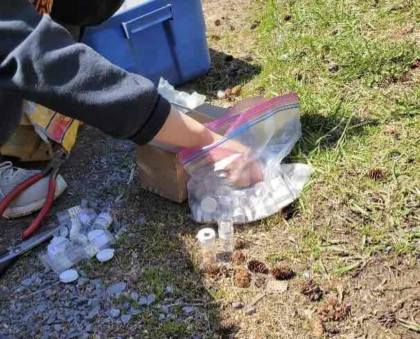 Bee Cocoon Containers