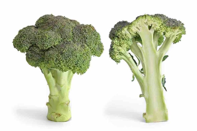 Veggie Bites – Broccoli