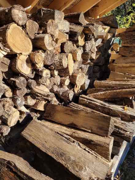 Stacked and cut firewood
