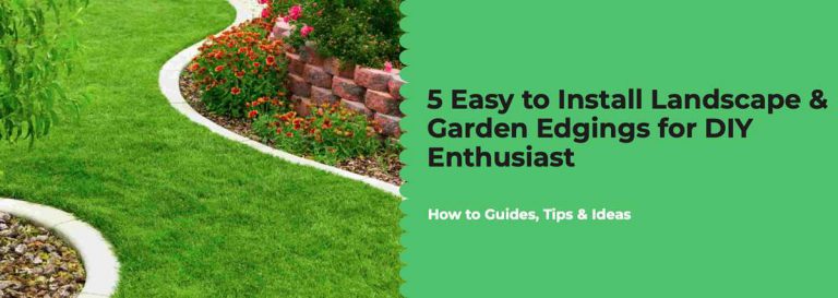 Garden Edging For Landscaping: Guide, Tips & Ideas