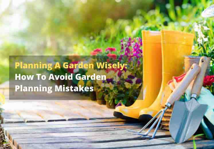 Planning A Garden Wisely: How To Avoid Garden Planning Mistakes