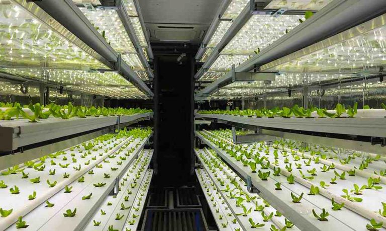 Shipping Containers and Sustainable Food Production