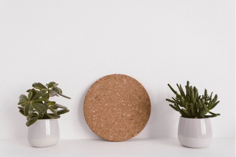 A decorative space with two young houseplants in white containers