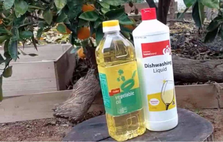 White Oil Insecticide Organic Pesticide