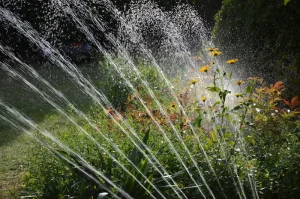 A sprinkler Irrigation System watering the gardens