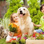 A young girl and boy with a happy family dog