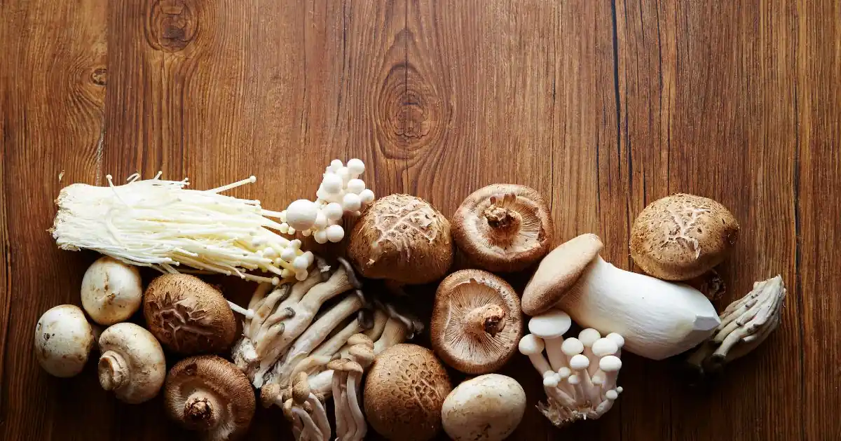 Many types of mushrooms well organized and displayed on a brown table