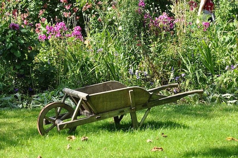 Old wooden wheelbarrow on a lawn in from of a wildflower garden