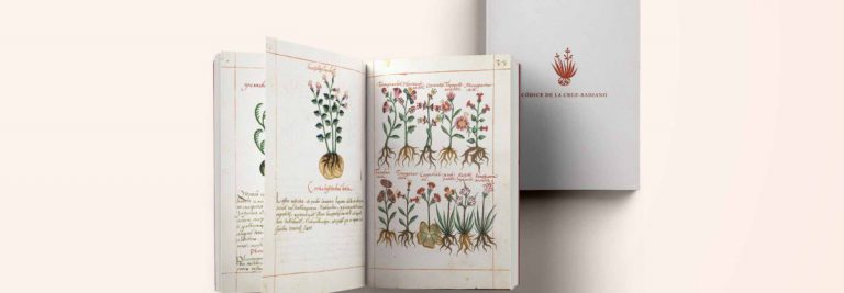 The oldest herbal book in the Americas