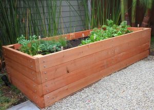 DIY raised garden planter made of wood, about 2 feet high and 6 feet long