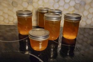 Six mason jars of rhubarb and orange jam in