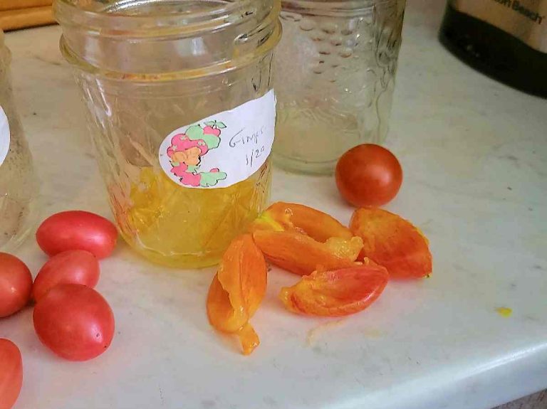 A Method for Saving Tomato Seeds