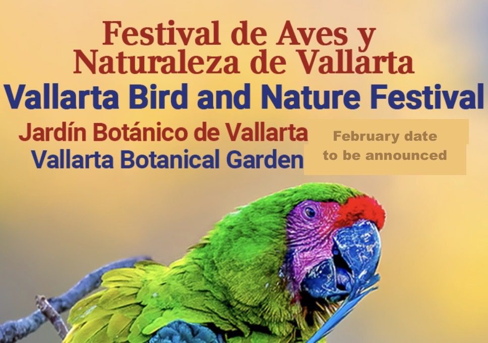 Bird and Nature festial