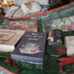 Seeds torage boxes