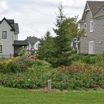 Lee Boltwood park maintained by Stittsville Goulbourn garden