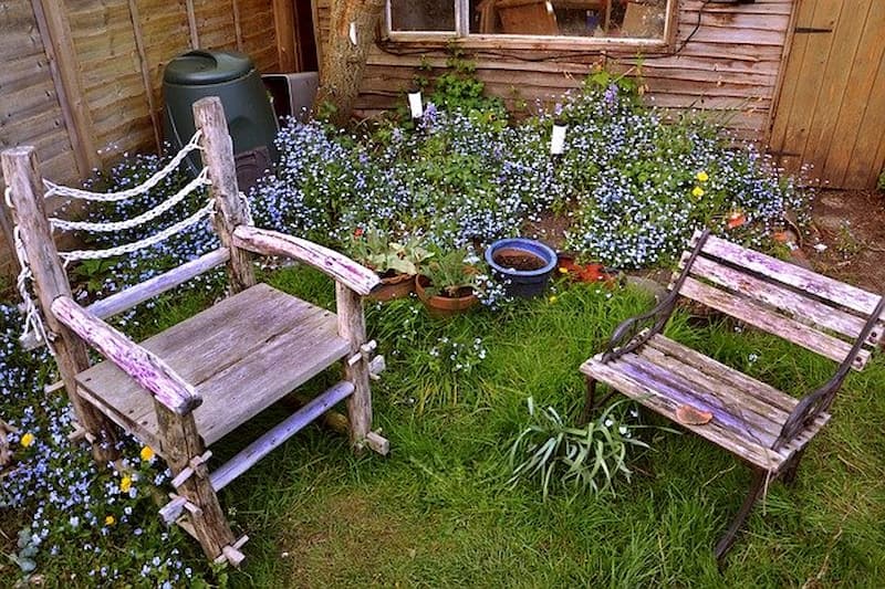 Two old wooden garden chairs in a private garden with blue flowers, probably forget-me-nots