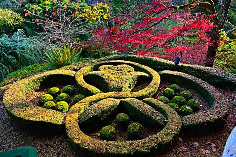 Top 10 North American Gardens Worth Traveling For