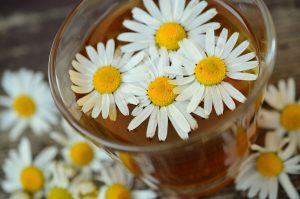 Chamomile Flowers in a tea cup