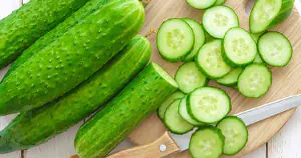 Is Cucumber A Fruit Or Vegetable?