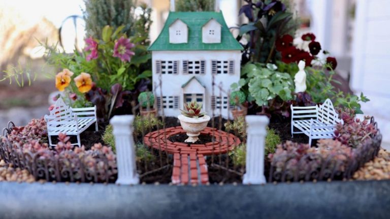 Make a Mini Formal Garden