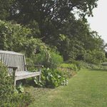 A smart looking garden lawn with a treed border with a bench