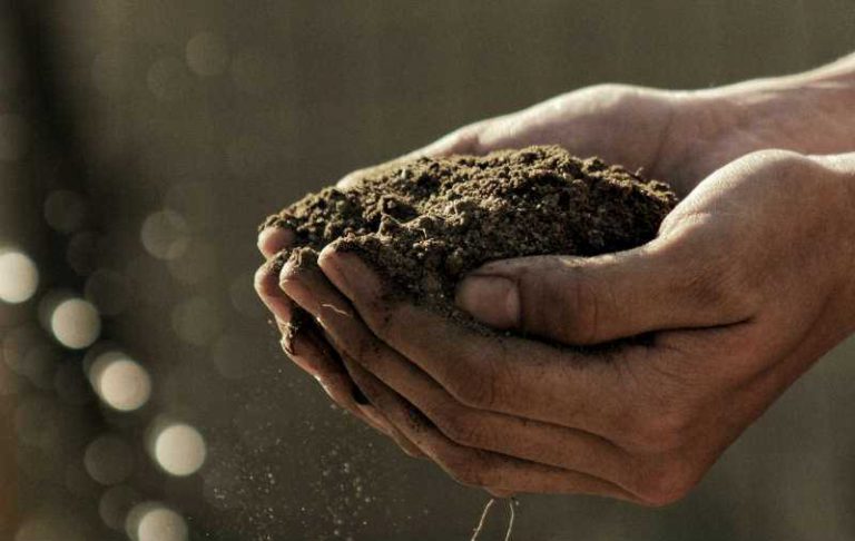 Improving Your Soil Health