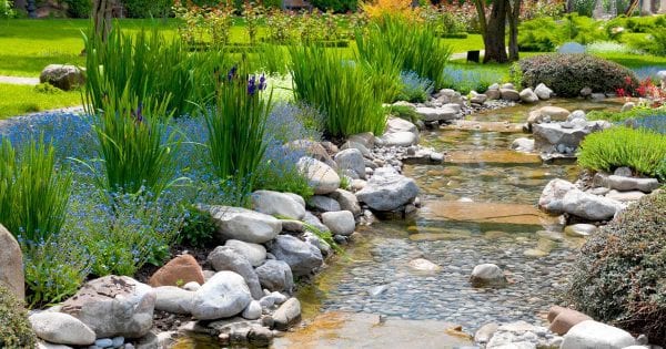 A gorgeous man made stream with a stone bottom, lined with boulders and decorative stones, with shrubs and tall grasses.