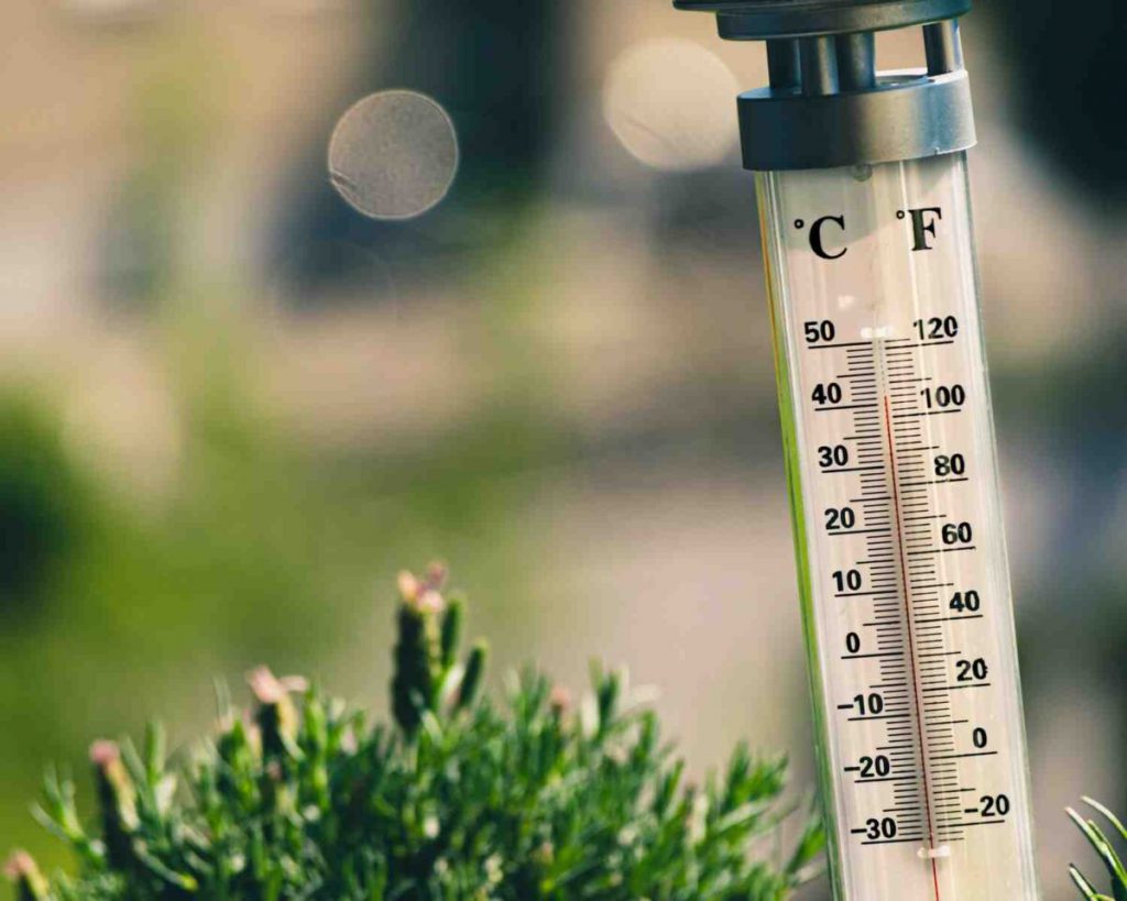 Thermometer in soil and ground
