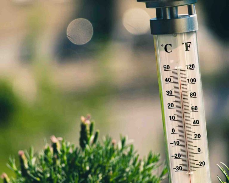 The Importance of Measuring Soil Temperature