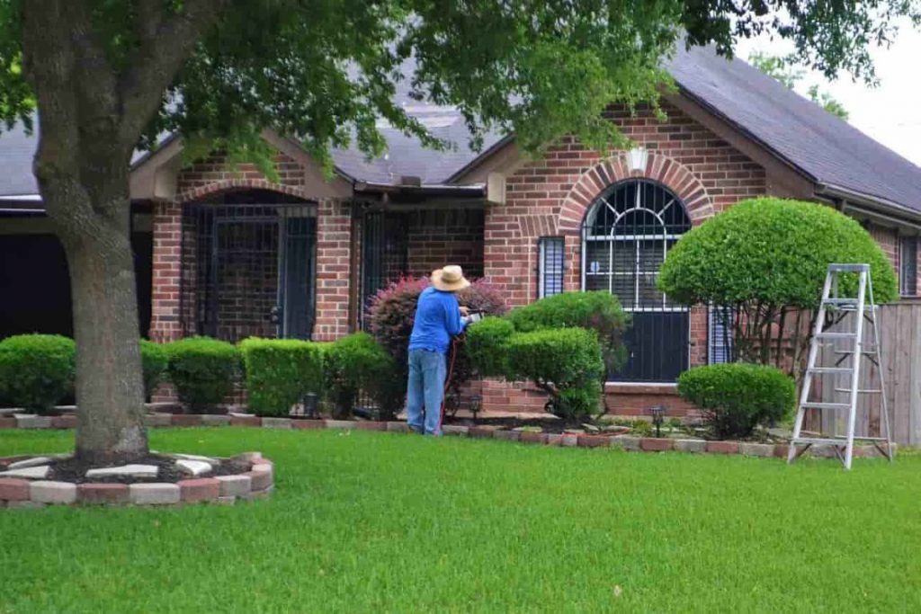Man trimming his hedge with a perfect lawn