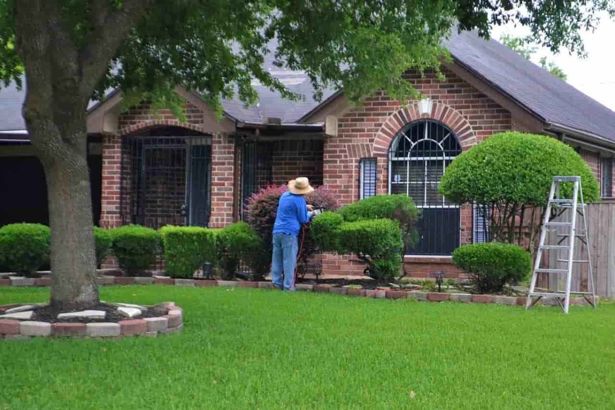 Man trimming his hedge with a perfect lawn