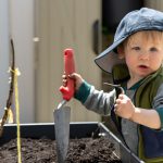 Young boy with a trowel in a raised garden bed
