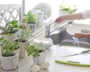 Glamorous herb planter on a white kitchen counter
