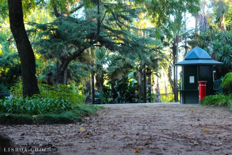 Lisbon Botanical Garden