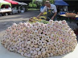 mountain of garlic