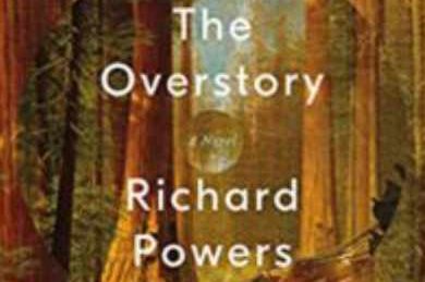 Book Review: The Overstory