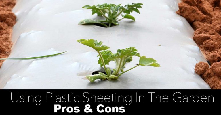 How To Use Plastic Sheeting And Mulch In The Garden