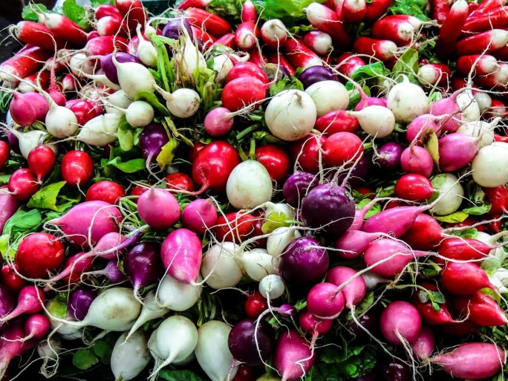 Garden Refresh with Radishes Garden Refresh with Radishes