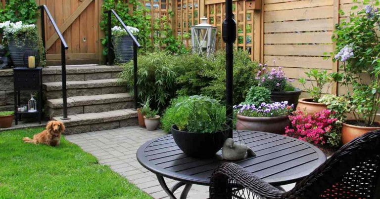 Backyard Landscaping Ideas For Small Yards