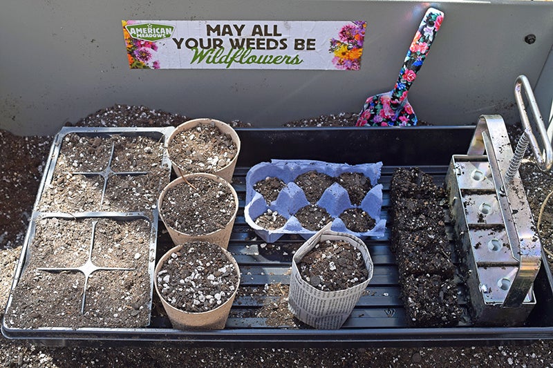 How to Start Seeds - Different Pots