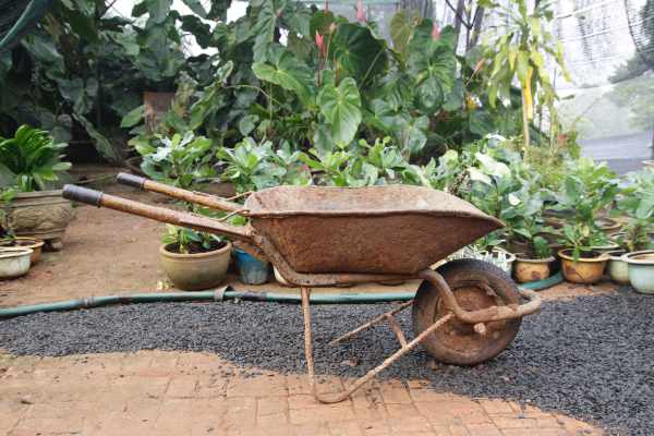 5 Essential Garden Tools For Every Gardener